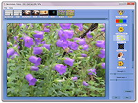 artistic filters software